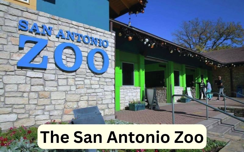 The San Antonio Zoo