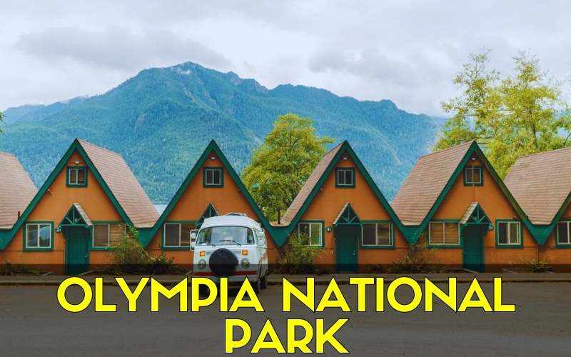 Hotels and Attractions Near Olympia National Park