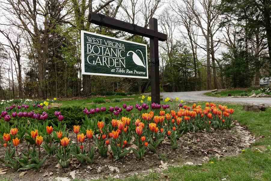 Botanic Garden west Virginia